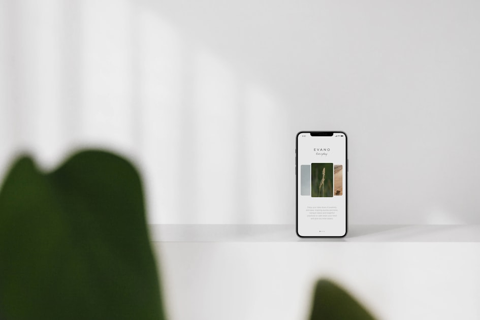 Creating a Blank Website